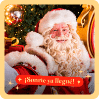 Santa GIF by Parque Arauco