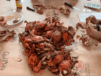 Seafood Crabs GIF by The Crab Place