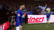 Football Soccer GIF by FC Schalke 04