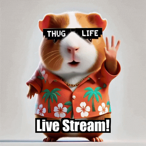 Guinea Pig Live Stream GIF by Guinea Gambino