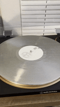 GIF by Partisan Records