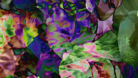 Art Design GIF by jorgemariozuleta