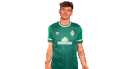 Nick Wolle Sticker by SV Werder Bremen