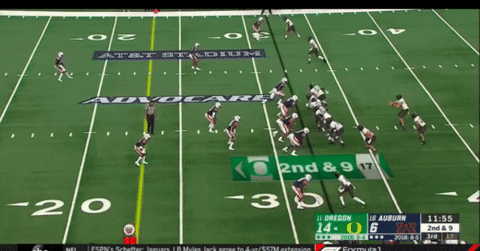 sletizia14 giphyupload GIF