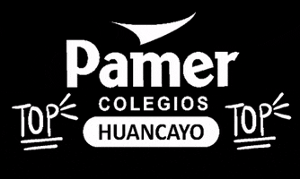 PamerHuancayo top vida colegio educacion GIF