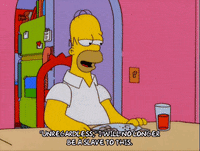 homer simpson GIF