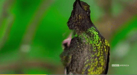 GIF by Vulture.com