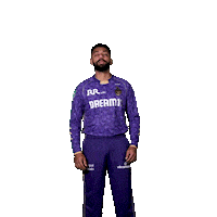 Kolkata Knight Riders Ipl Sticker by Knight Riders Sports