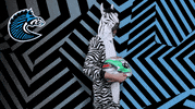 Sport GIF by BS+COMPETITION