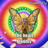 Rainbow Rain GIF by BuddhaFlyJourney