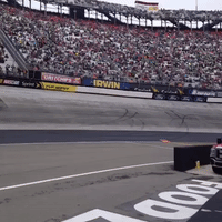 itsbristolbaby GIF by Richard Childress Racing