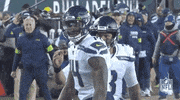 National Football League Touchdown GIF by NFL