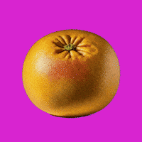 Energy Comida GIF