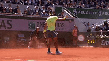 spanish sport GIF by Roland-Garros
