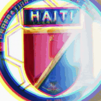 Haiti Grenadiers GIF by Respective