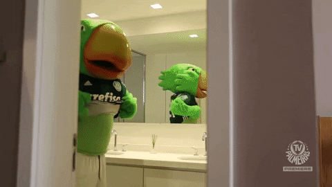 nao GIF by SE Palmeiras