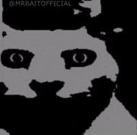 Thousand Yard Stare Cat GIF