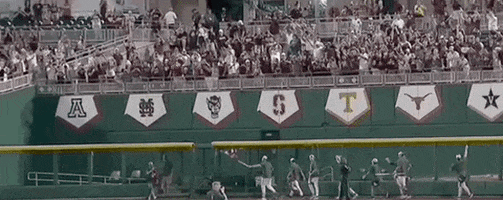 College World Series Baseball GIF by NCAA Championships