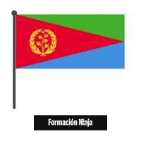 Flag Bandera Sticker by Formación Ninja