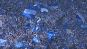 Football Sport GIF by FC Schalke 04