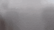 WJUCardinals wheeling university wheeling soccer wheeling wsoc GIF