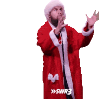 Merry Christmas Sticker by SWR3