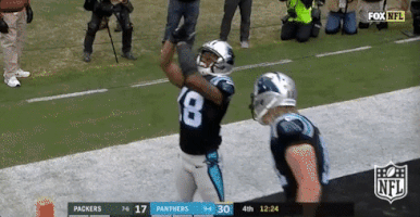 carolina panthers football GIF by NFL