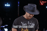 thevoiceau thevoiceau GIF