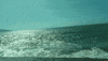 brazil da GIF