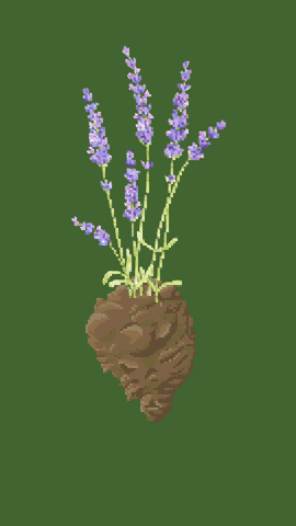 oak_sky giphyupload nature life time GIF