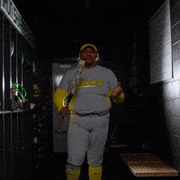 Ncaa Softball GIF by GoDucks