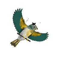 Spatz Sticker by tete-a-tete Rastatt