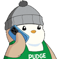 Pay Up Show Me Sticker by Pudgy Penguins