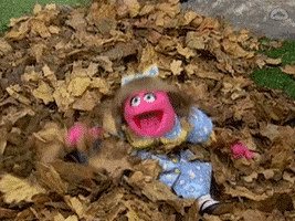 Sesame Street Girl GIF by Muppet Wiki