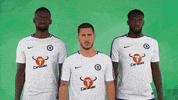 serious chelsea fc GIF by Carabao UK