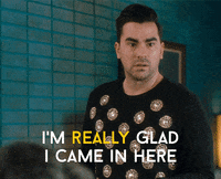 Sarcastic Schitts Creek GIF by CBC