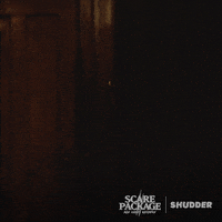 Scary Movie Horror GIF by Shudder
