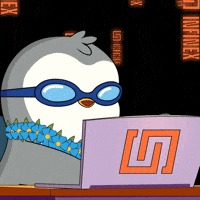 Tech Coding GIF by Pudgy Penguins