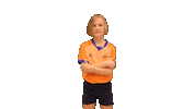 Volleyball Sticker by BVC Holyoke