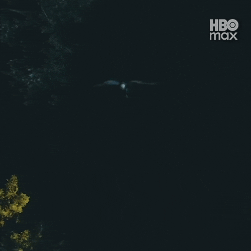 Attack Peacemaker GIF by HBO Max