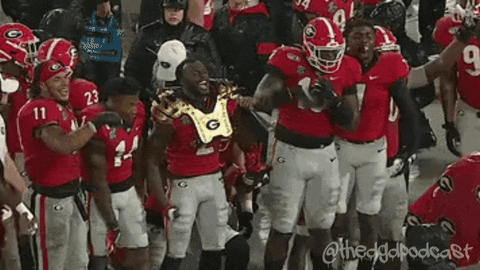 Thedgdpodcast giphyupload georgia uga go dawgs GIF