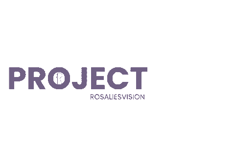 Rosaliesvision giphyupload new project newproject rosaliesvision Sticker