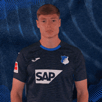 Sport Bundesliga GIF by TSG Hoffenheim