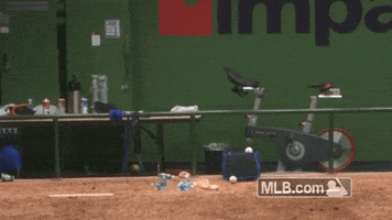chicago cubs do the worm GIF by MLB