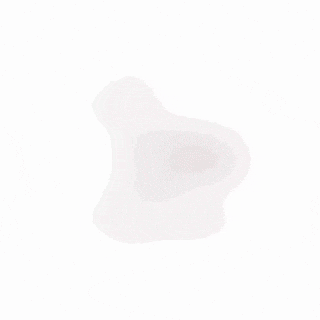 Ffr GIF by Good Vibes Dogtography