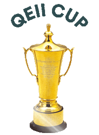 Champions Day Sticker by DIA
