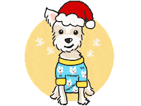 Morkie Sticker