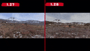 Dayz GIF