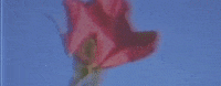blossoming what if GIF by Mackenzie Ziegler