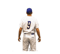 College Sports Baseball Sticker by Delaware Blue Hens